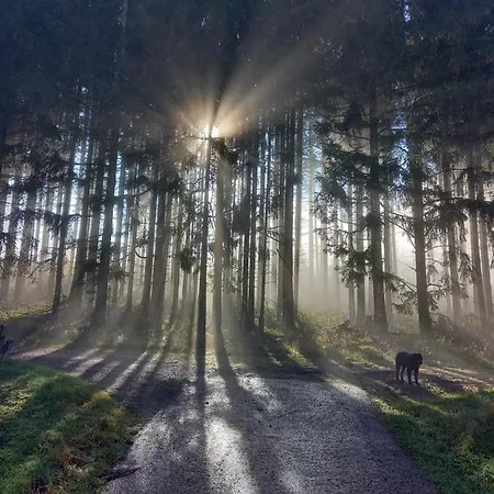 Kessler's Eifeldomizil Casa de Férias