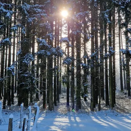 Kessler's Eifeldomizil * Auw bei Prum