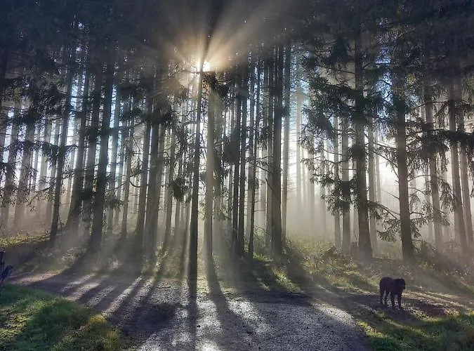 Kessler's Eifeldomizil Ferienhaus