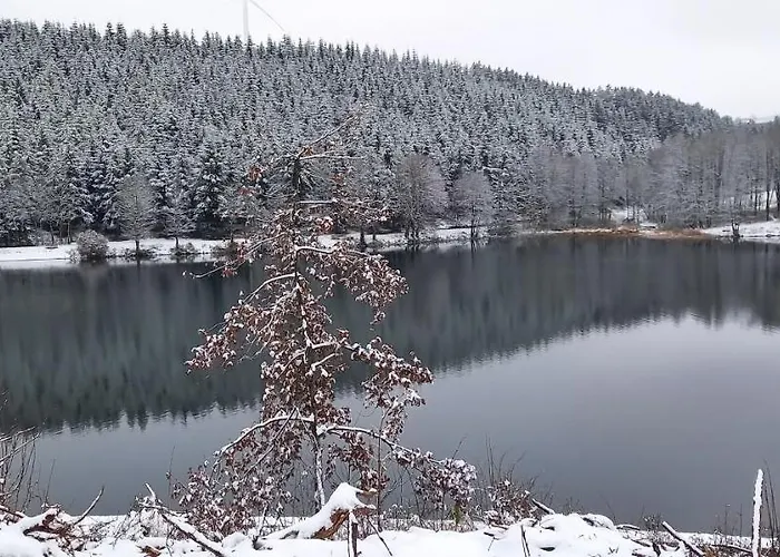 Kessler's Eifeldomizil Ferienhaus *