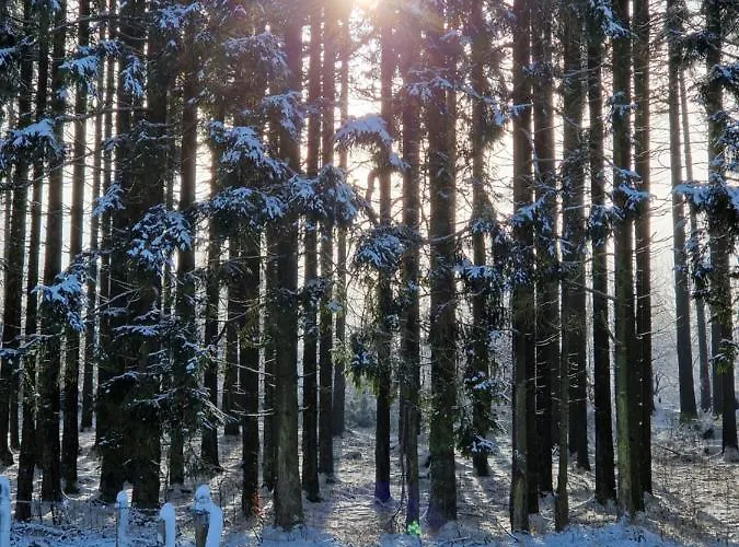 Kessler's Eifeldomizil * Auw bei Prum